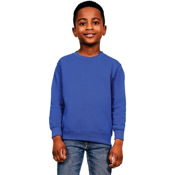Vêtements Enfant Pulls Casual Classics  Bleu