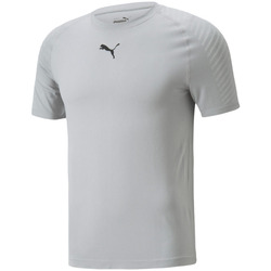 Vêtements Homme T-shirts manches courtes Puma - Tee-shirt de sport - gris Autres