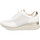 Chaussures Femme Baskets mode Pitillos  Blanc