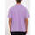 Vêtements Homme T-shirts manches courtes Volcom Camiseta  Volwasher - Paisley Purple Violet