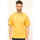 Vêtements Homme T-shirts & Polos K-Way T-shirt  Fantome en pur coton avec logo Jaune