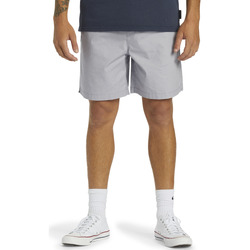 Vêtements Homme Shorts / Bermudas Quiksilver Taxer Gris