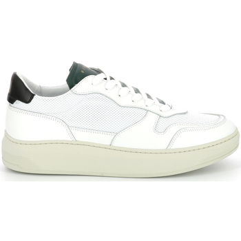 Chaussures Homme Baskets basses Piola Cayma Vert