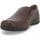 Chaussures Homme Mocassins Melluso U41136-234984 Marron