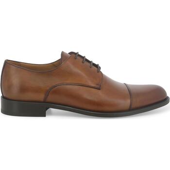 Chaussures Homme Richelieu Melluso U90602W-235608 Marron