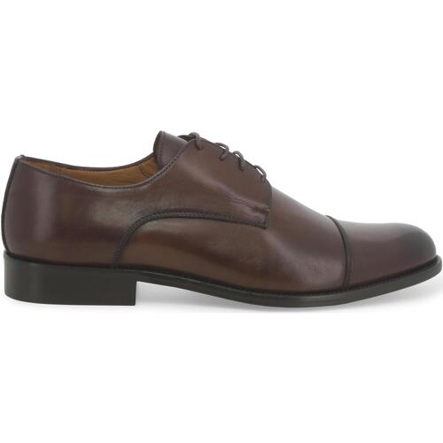 Chaussures Homme Richelieu Melluso U90602W-237403 Marron