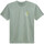 Vêtements Homme T-shirts & Polos Vans Classic mini dual palm Vert