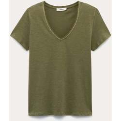 Vêtements Femme Tops / Blouses Promod T-shirt col V Vert
