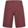 Vêtements Homme Shorts / Bermudas O'neill N2800012-13013 Rose