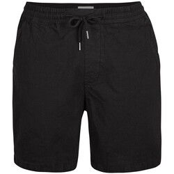 Vêtements Homme Shorts / Bermudas O'neill 2700010-19010 Noir