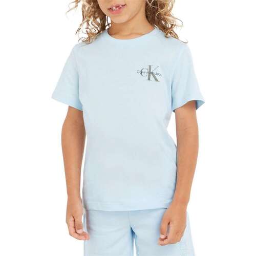 Vêtements Garçon T-shirts manches courtes Calvin Klein JEANS organic 160880VTPE24 Bleu