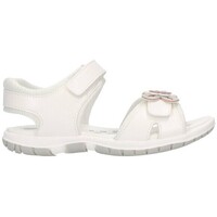 Chaussures Fille Sandales et Nu-pieds Chicco FEONY 300 Niña Blanco Blanc
