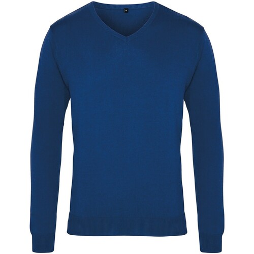Vêtements Homme Sweats Premier PR694 Bleu