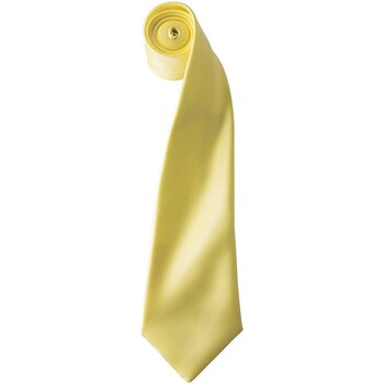 Vêtements Cravates et accessoires Premier PR750 Multicolore