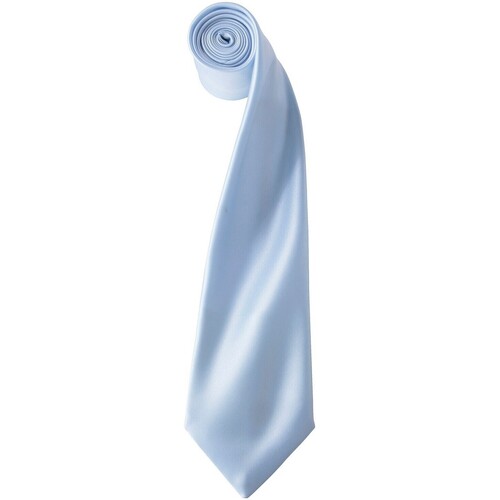Vêtements Cravates et accessoires Premier Colours Bleu