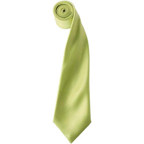Vêtements Cravates et accessoires Premier PR750 Vert