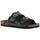 Chaussures Femme Sandales et Nu-pieds Colors of California BIO406 Black 