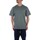 Vêtements Homme T-shirts manches courtes Dickies DK0A4YFC Vert
