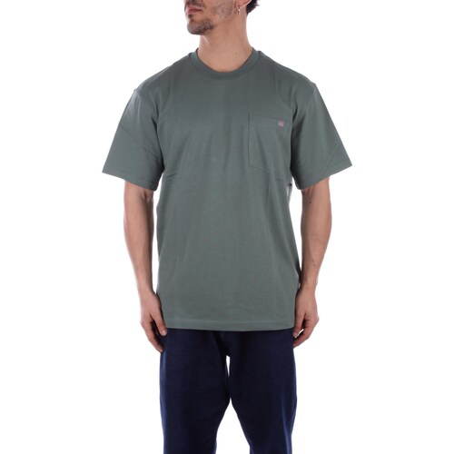 Vêtements Homme T-shirt 100 % coton à imprimé coeur du 0 au 3 ans Dickies DK0A4YFC Vert