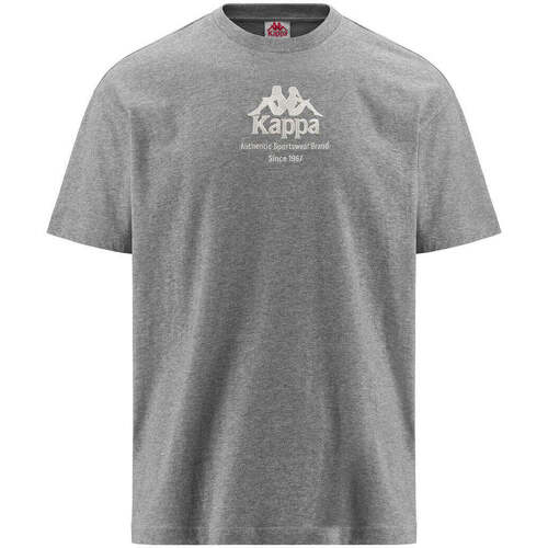 Vêtements Homme T-shirts manches courtes Kappa T-shirt Authentic Gastor Gris