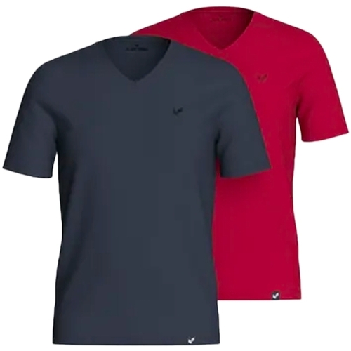 Vêtements Homme T-shirts manches courtes Kaporal Pack x2 Gift Multicolore
