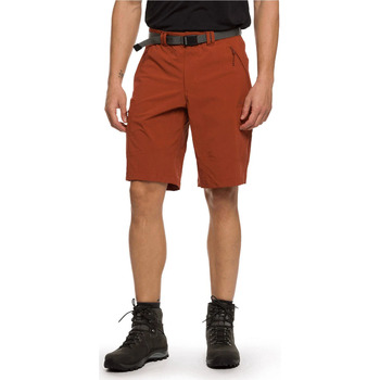 Vêtements Homme Shorts / Bermudas Trango PANT. CORTO BRUNNER Marron