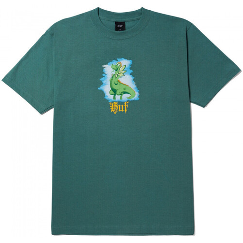 Vêtements Homme howley logo sweatshirt ligne Huf T-shirt ligne fairy tale ss Vert
