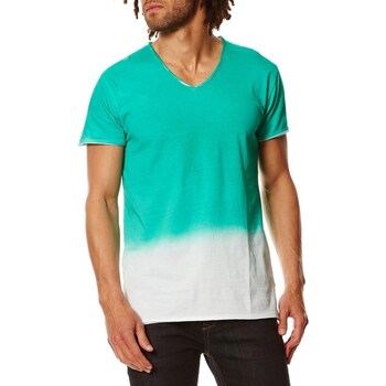 Vêtements Homme T-shirts & Polos Hopenlife T-shirt coton manches courtes col V ANORITH vert