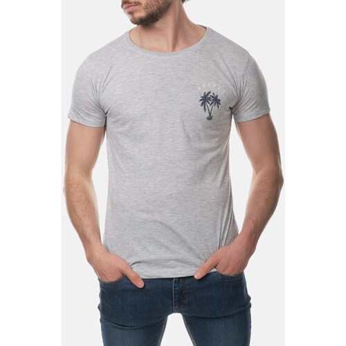 Vêtements Homme T-shirts & Polos Hopenlife T-shirt coton manches courtes col rond KOZUKI gris