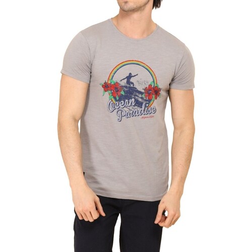 Vêtements Homme T-shirts & Polos Hopenlife T-shirt manches courtes col rond MATHEO bleu gris