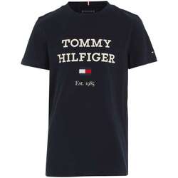 Vêtements Garçon T-shirts manches courtes Tommy Hilfiger 162982VTPE24 Marine