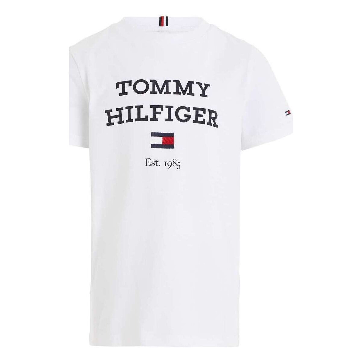 Vêtements Garçon T-shirts manches courtes Tommy Hilfiger 162983VTPE24 Blanc