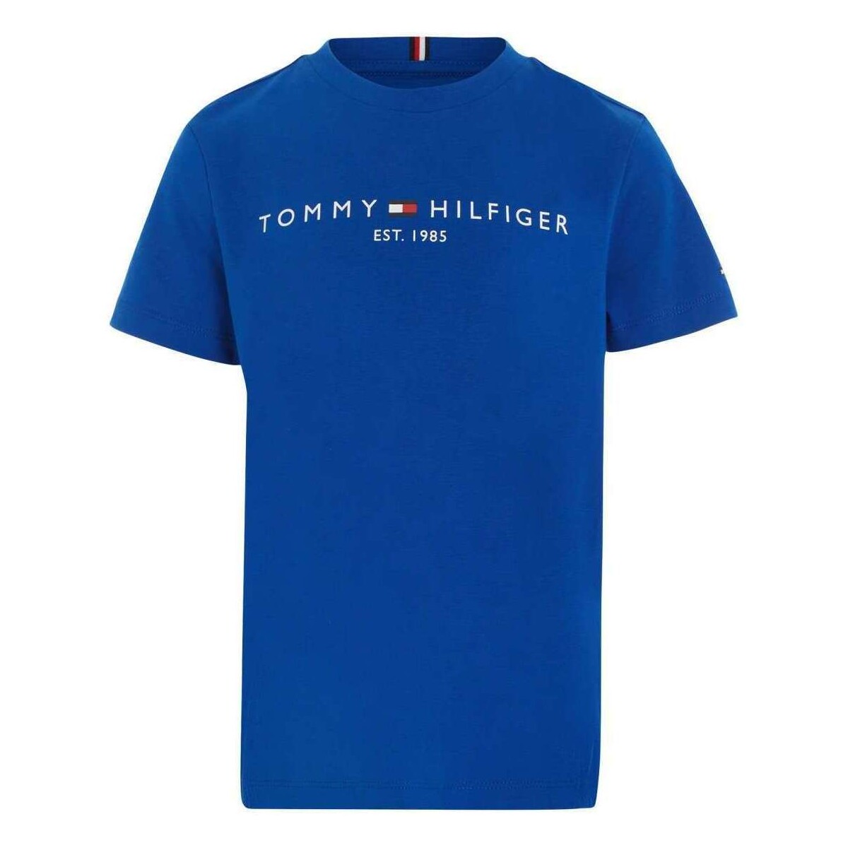 Vêtements Garçon T-shirts manches courtes Tommy Hilfiger 163002VTPE24 Bleu