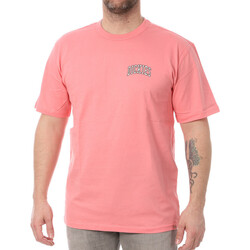 Vêtements Homme T-shirts & Polos Dickies DK0A4Y8OG021 Rose