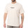 Vêtements Homme T-shirts & Polos Dickies DK0A4XKPECR1 Blanc