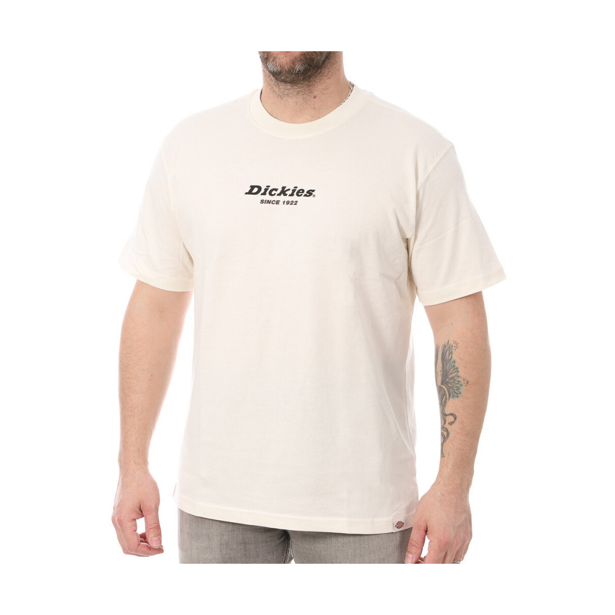Vêtements Homme T-shirts & Polos Dickies DK0A4XKPECR1 Blanc