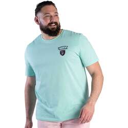 Vêtements Homme T-shirts manches courtes Ruckfield 162499VTPE24 Vert