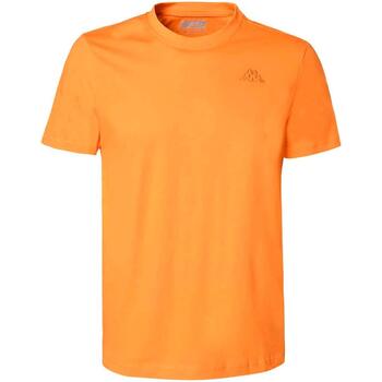 Vêtements Homme T-shirts manches courtes Kappa Cafers slim tee Orange