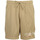 Vêtements Homme Shorts / Bermudas Nike M J Ess Mesh Gfx Short Beige
