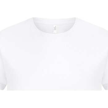 Vêtements Homme T-shirts manches longues Casual Classics AB602 Blanc