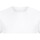 Vêtements Homme T-shirts manches longues Casual Classics AB602 Blanc