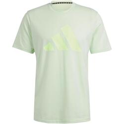 Vêtements Homme T-shirts manches courtes adidas Originals Tr-es fr logo t Vert