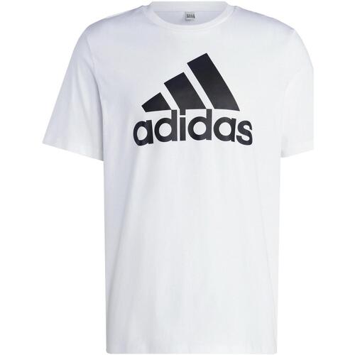 Vêtements Homme T-shirts manches courtes adidas Originals M bl sj t Blanc