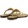 Chaussures Femme Multisport MICHAEL Michael Kors Daniella Sandalo Donna Pale Gold 40S4DNFS1M Doré