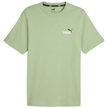 Vêtements Homme T-shirts & Polos Puma TEE SHIRT ESSENTIALS+2 VERT CLAIR - PURE GREEN - L Multicolore