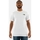 Vêtements Homme T-shirts manches courtes The North Face 0a87np Blanc