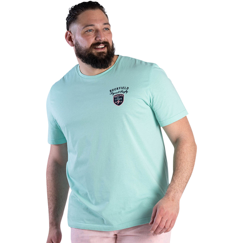 Vêtements Homme T-shirts & Polos Ruckfield Tee-shirt Shirt col rond Vert
