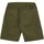 Vêtements Homme Shorts / Bermudas Iuter Cargo Rispstop Shorts Vert