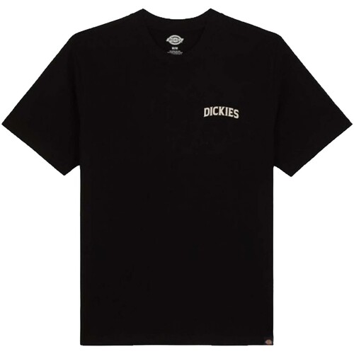 Vêtements Homme T-shirts manches courtes Dickies Rose is in the air Noir