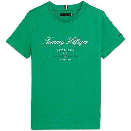 Vêtements Garçon T-shirts & Polos Tommy capuche Hilfiger  Vert